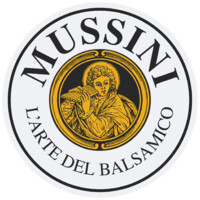 MUSSINI srl Logo