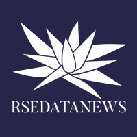 RSEDATANEWS Logo