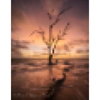 Paul Marcellini Photography Logo