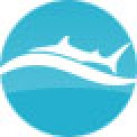 Media-Shark Marketing Logo