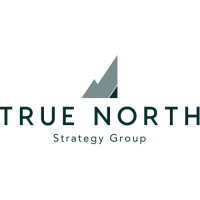 True North Strategy Logo