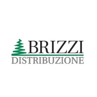 Brizzi Distribuzione Italia SPA Logo