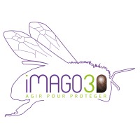 iMAGO 3D Logo
