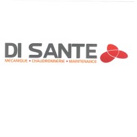DI SANTE SAS Logo