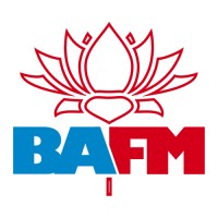 BA Financial Management Logo