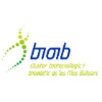 BIOIBAL Logo