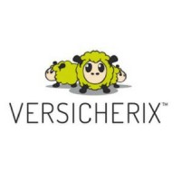 Versicherix AG Logo