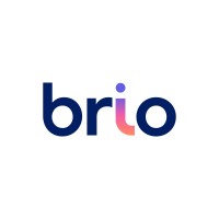 Brio Systems Logo