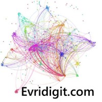 Evridigit.com Logo