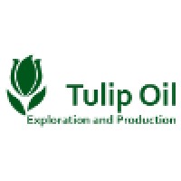 Tulip Oil Logo