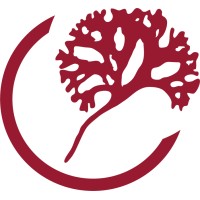 CEAMSA Logo