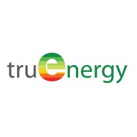 Truenergy - Engineering and Energy Logo
