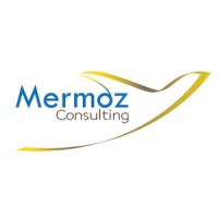 Mermoz Consulting Logo