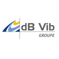 dB Vib Groupe Logo