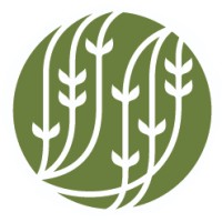 PALAIS DES THES USA Logo