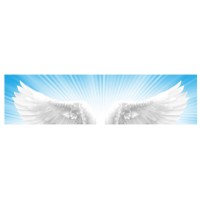 Angel Principle Consulting Logo