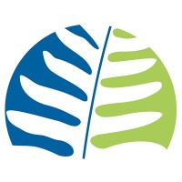 Silver Fern Interim & Advies Logo