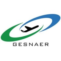 Gesnaer Consulting Logo