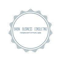 Babin Business Consulting Logo