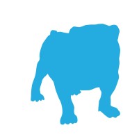 RIVA Capital Logo