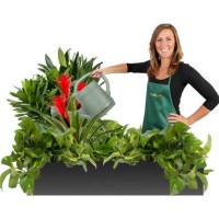 Office Plants by Everything Grows Logo