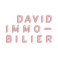 David Immobilier Logo