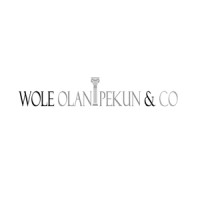 Wole Olanipekun & Co. Logo
