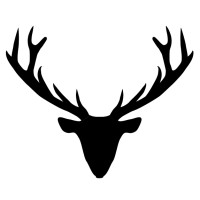 Stern & Wild Ltd Logo