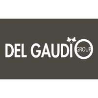 Del Gaudio Group Logo