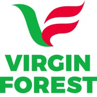VIRGIN FOREST ENERGY Logo
