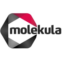 Molekula Group Logo