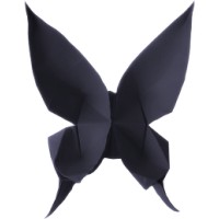 LEXD Logo