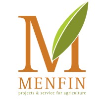 Menfin srl Logo