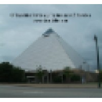 CY Translation Services Logo