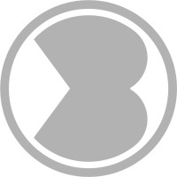 BERTON Logo