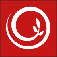ROOT STUDIO Logo