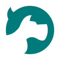 DogFish Design Logo