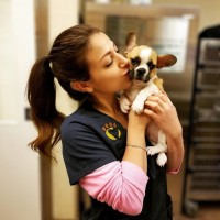 Heart of Chelsea Veterinary Group Logo