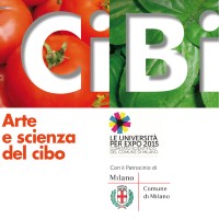 CiBi srl Logo