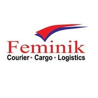 Feminik Logistics Nig Ltd Logo