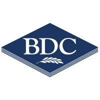 BDC Systems Ltd Logo