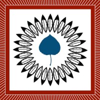 Center for Native American Youth Logo