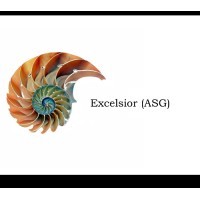 Excelsior (Advisory Services Group), LLC Logo