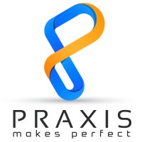 Praxis Solutions LLC Logo