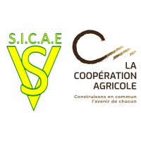 SICAE-VS Logo