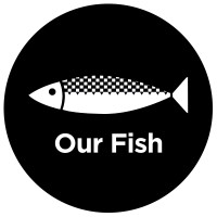 Our Fish Logo