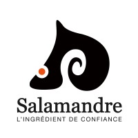 Salamandre, solutions logicielles Logo