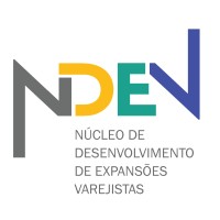 NDEV Logo