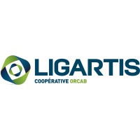 LIGARTIS Logo