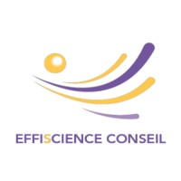 Effiscience Conseil Logo